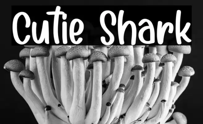 Cutie Shark Font examples