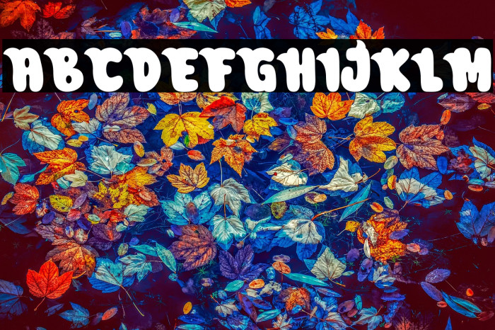 Cutie Sharky Example 1