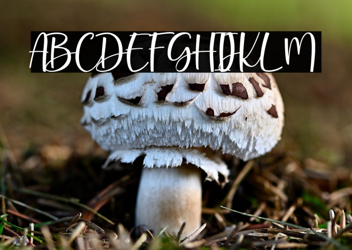 CutieCupidPersonalUse Example 3