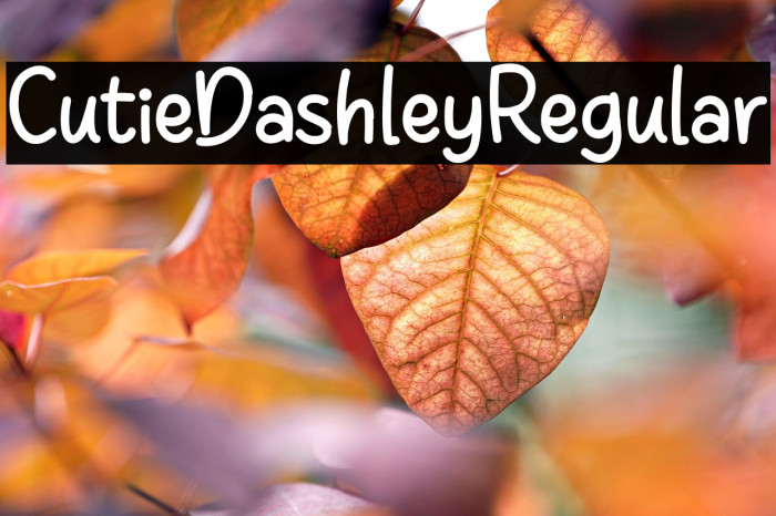 CutieDashleyRegular Example 3