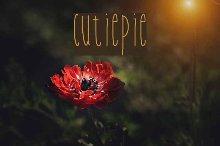 Cutiepie Font examples