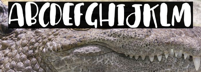 Cuties Magenta Demo Example 2