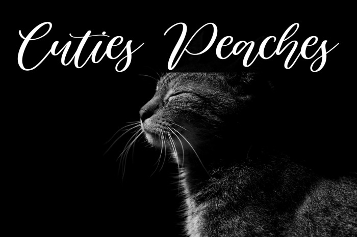 Cuties Peaches Example 1