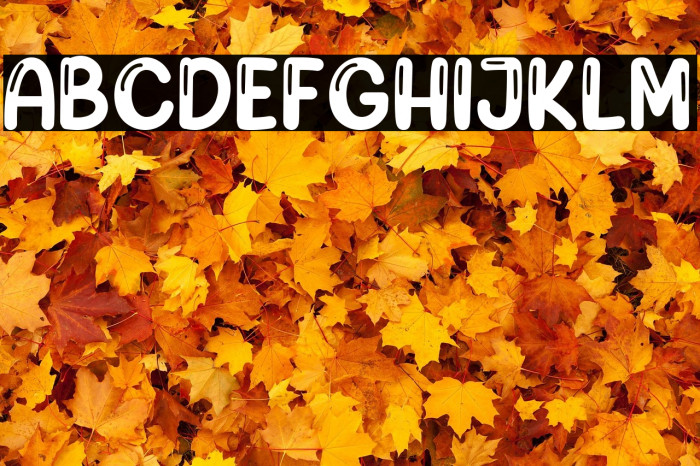 Cuties Rabbits Example 2