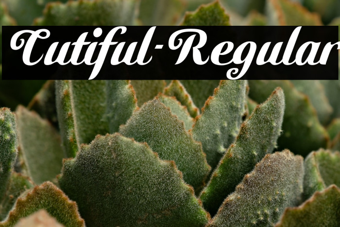 Cutiful-Regular Example 2