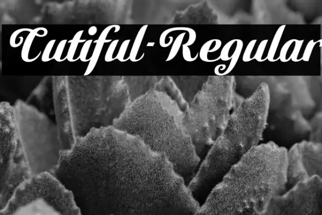 Cutiful-Regular Polices examples