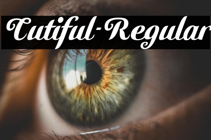 Cutiful-Regular Example 3