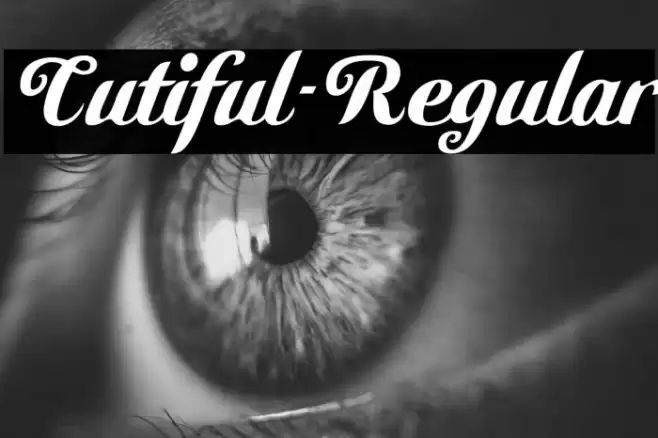 Cutiful-Regular Polices examples