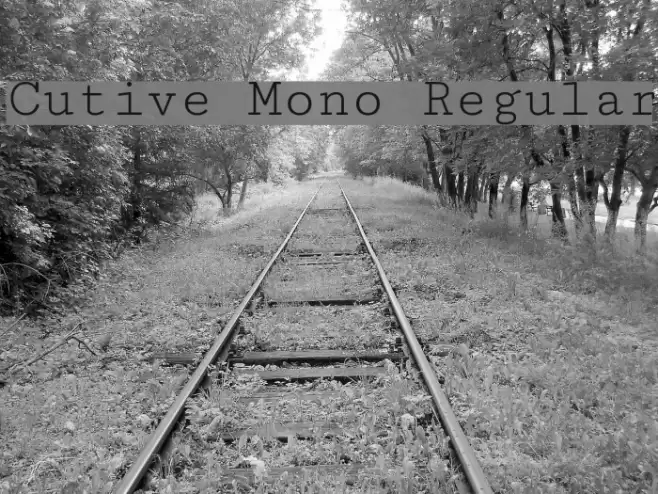 Cutive Mono Regular Font examples