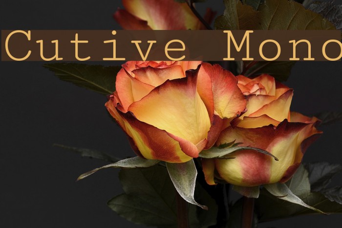 Cutive Mono Font examples