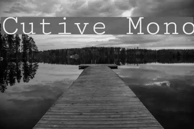 Cutive Mono Font examples