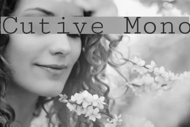 Cutive Mono Font examples