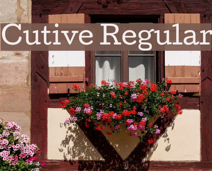 Cutive Regular Font examples