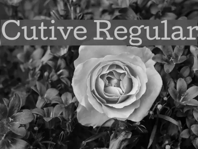 Cutive Regular Font examples
