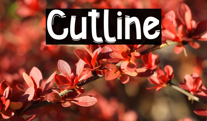 Cutline Example 1