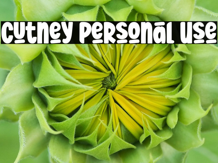 Cutney Personal Use Example 1