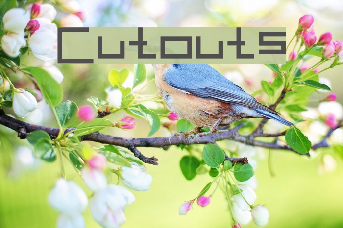 Cutouts Font examples