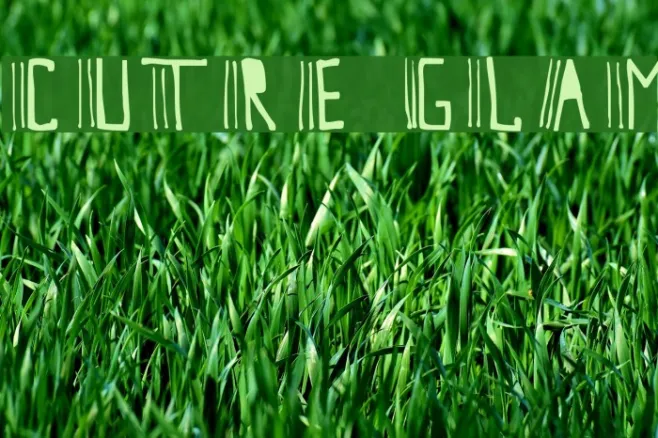 Cutre Glam Example 2