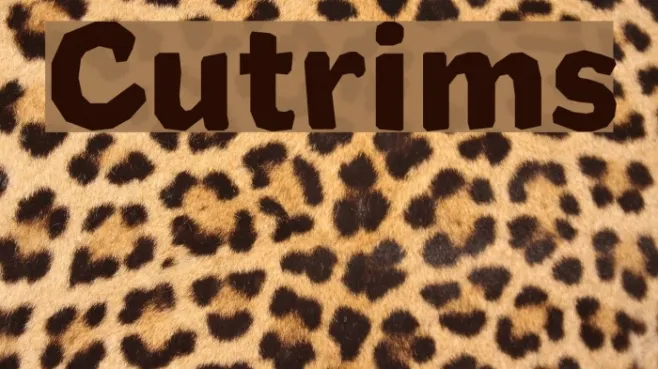 Cutrims Example 1