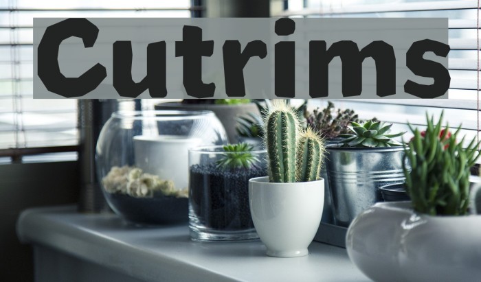 Cutrims Font examples