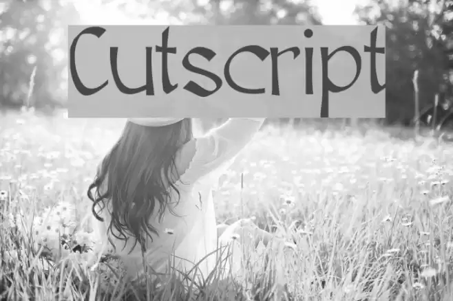 Cutscript Font examples