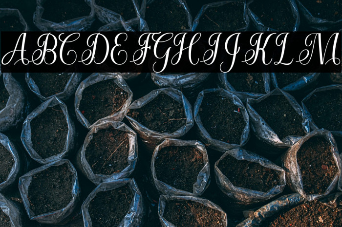 CuttauriScript Example 2