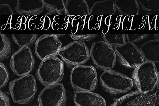 CuttauriScript Font examples