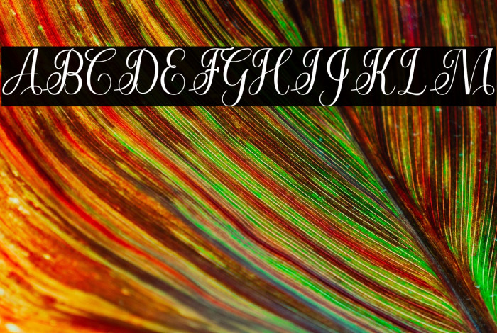 CuttauriScript Example 3