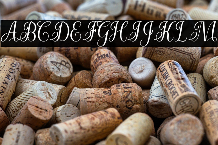 CuttauriScript Example 1