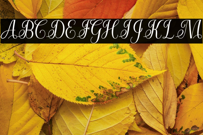 CuttauriScript Example 2