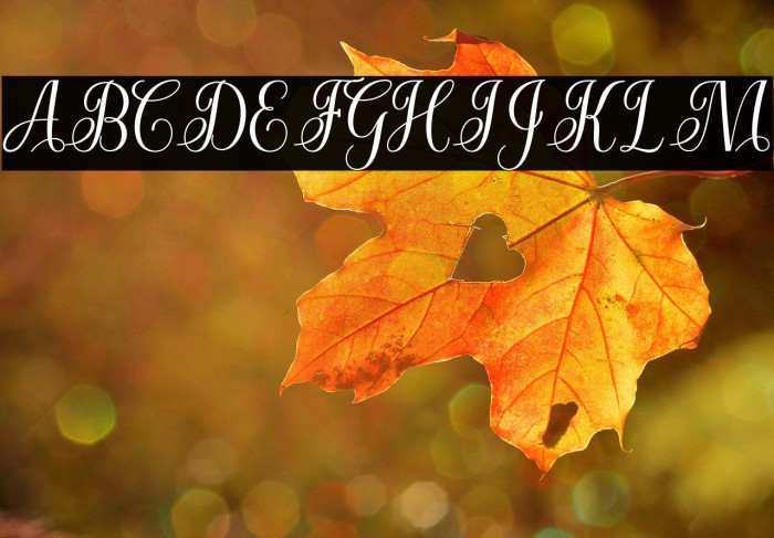 CuttauriScript Example 3