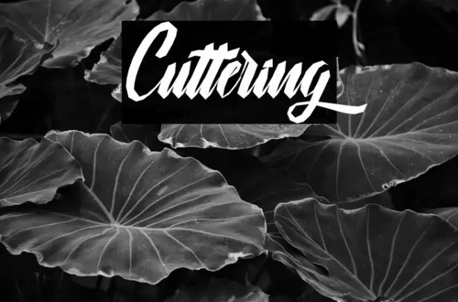 Cuttering Font examples