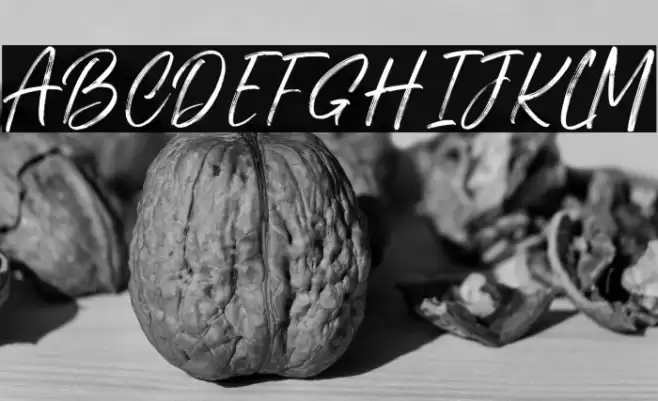 Cutterlines DEMO Font examples