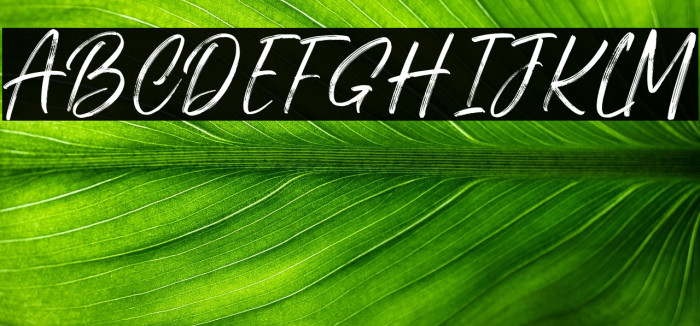 Cutterlines DEMO Example 2