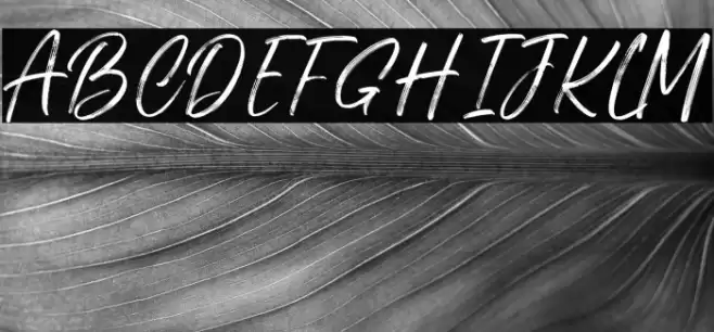 Cutterlines DEMO Font examples