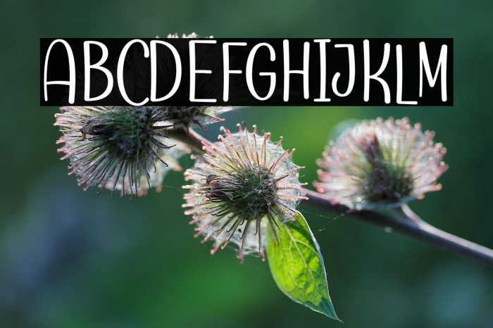 Cuttie Demo Example 1