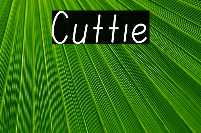Cuttie Example 3