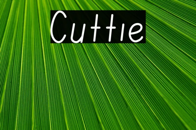 Cuttie Example 3