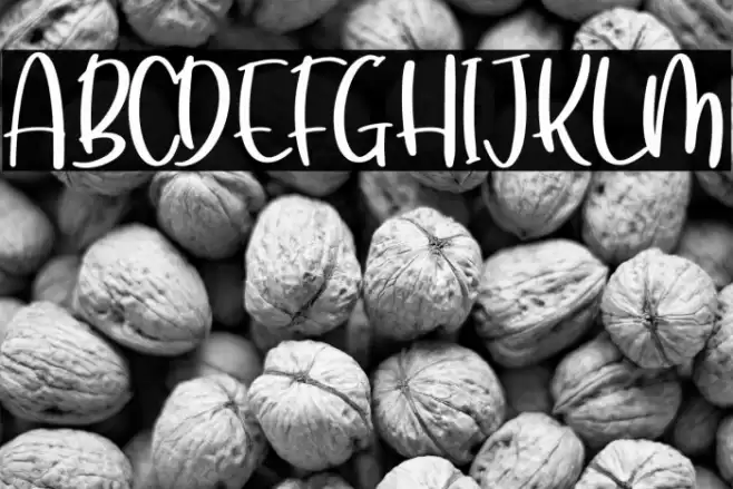 Cutties Betty Font examples