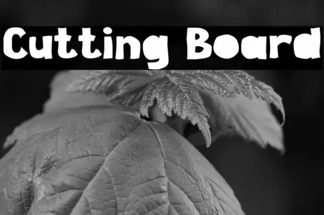 Cutting Board Schriftart examples