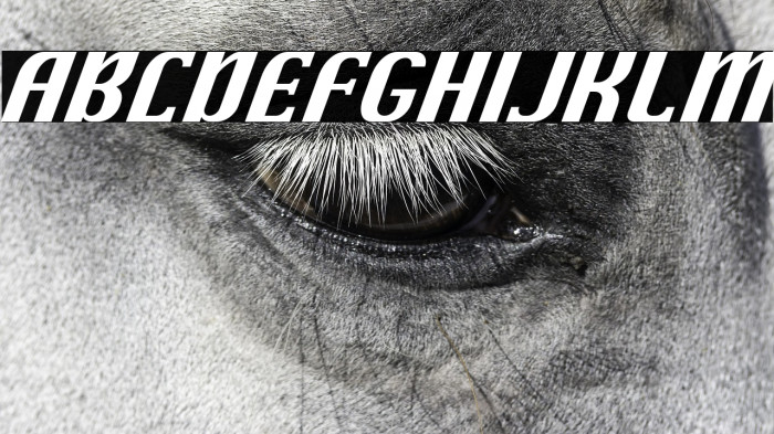 Cutting-EndsFREE Example 3