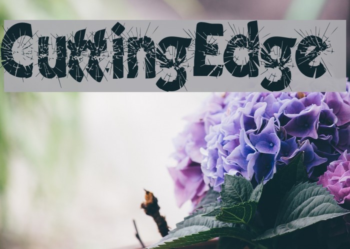 CuttingEdge لخطوط تنزيل examples