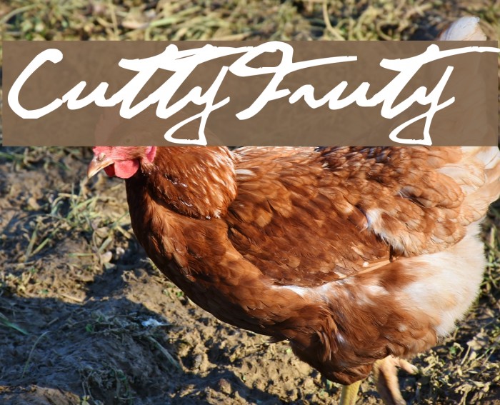 CuttyFruty Font examples