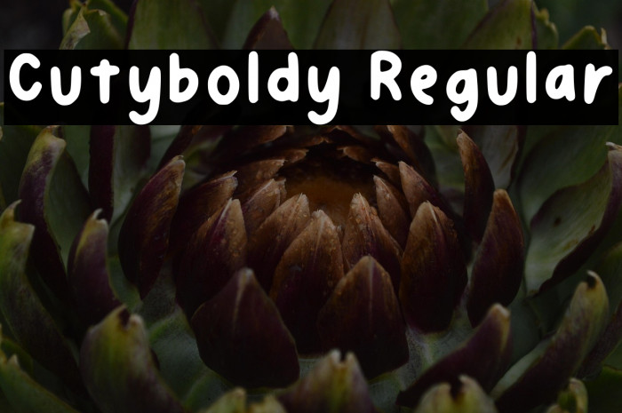Cutyboldy Regular Example 1