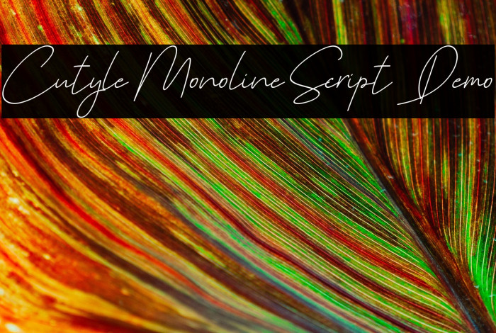 Cutyle Monoline Script [Demo] Example 1
