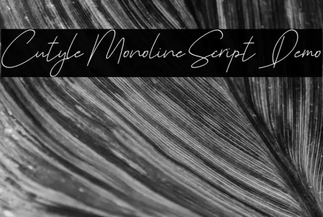 Cutyle Monoline Script [Demo] Font examples