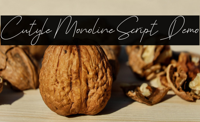 Cutyle Monoline Script [Demo] Example 2