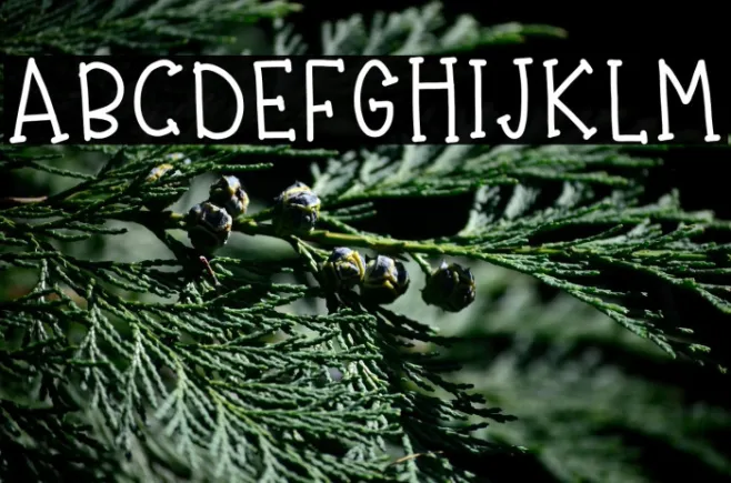 cuddles  Example 1