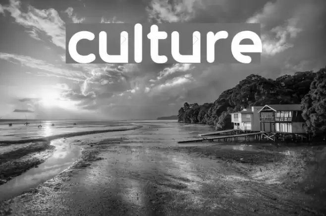 culture Font examples