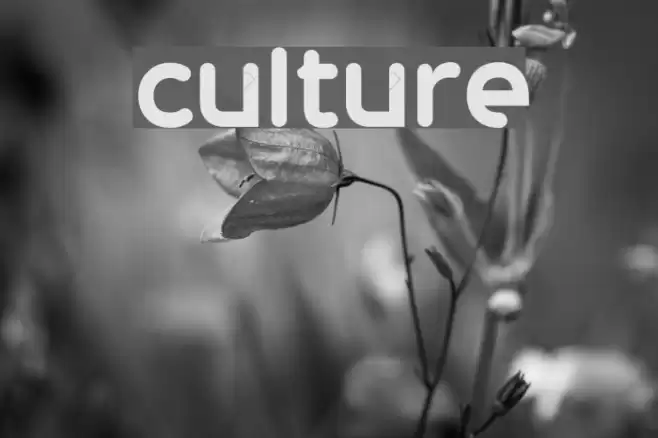 culture Font examples